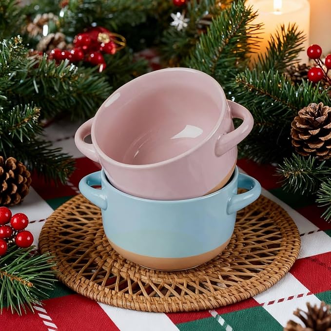 AmorArc 24 Ounces Soup Bowls with Large Handles and Lids, Stoneware Bowls Set of 2 for Soup, Cereal, Stew, Noodle, Colourful Ceramic Kitchen Bowls, Microwave&Dishwasher Safe, Blue&Pink