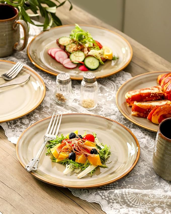 HASENSE Porcelain Dinnerware Set of 4, 10 Inch Ceramic Dinner Plates Set of 4 for Kitchen Counter, Large ceramic Dishes Set for Steak, Salad and Dinner, Microwave and Dishwasher Safe, Brown