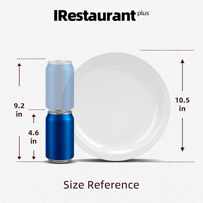Stoneware Narrow Rim Commercial Grade Dinnerware Bright White, Dinner Plate 10.5"， Case of 12
