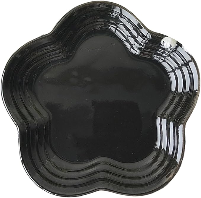 Sturdy Ceramics Small Plate Resists Stain Reduces Time Sturdy Serving Dishes for Daily Use Ceramics Dish