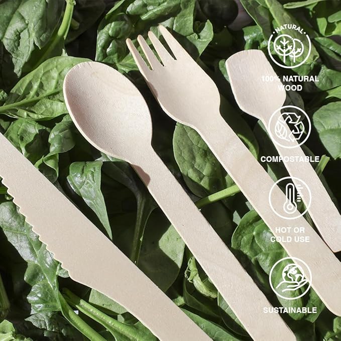 Disposable Wooden Dessert Spoon/Tea spoon (100 pcs) - Eco Friendly Dessert Spoon, Perfect for Picnic, Camping, Travel, Small Lunch Box, and Office Use