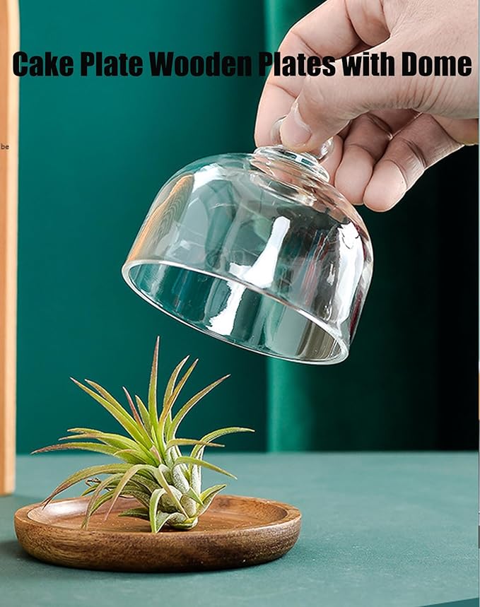 Charcuterie Snow Globe Container, Charcuterie Snow Globes, Mini Cake Stand with Dome Lid, Glass Dessert Dome with Wood Base, Small Cake Display Server Tray for Kitchen, Birthday Party, Wedding (1set)
