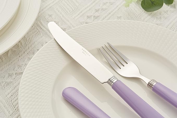ANNOVA Stainless Steel Colorful Tableware Kitchen Flatware Set Utensils, Includes Dinner Knives, Forks, Spoons, Salad Forks & Dessert Spoons, Modern Rounded Shape (Lilac, 20 Pieces)