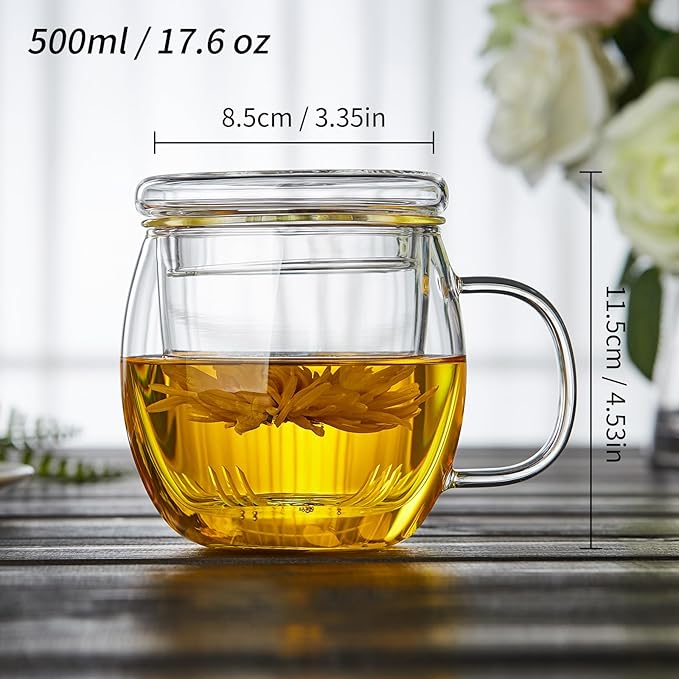 Glass Tea Cup with Infuser and Lid, 17oz/500ml Large Borosilicate Teacup, Clear Mug for Loose Leaf Tea, Blooming Tea, Tea Bags - Perfect Christmas or Birthday Gift for Women.