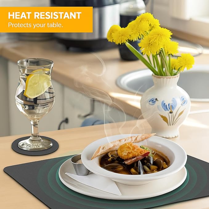 Bacgnyer Placemats Set of 4, Placemat with Coasters Heat Stain Scratch Resistant Non-Slip Waterproof Oil-Proof Washable Wipeable Outdoor Indoor for Dining Patio Table Kitchen Decor and Kids