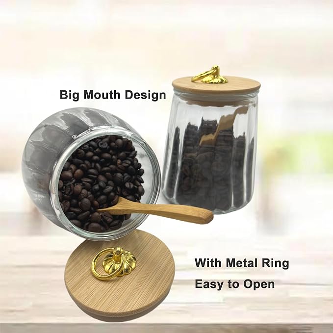 Glass Airtight Storage Jars with Spoons,Bamboo Lid Canister for Foods,Decorative Container with Metal Handle Easy to Grasp 2Pack Oval