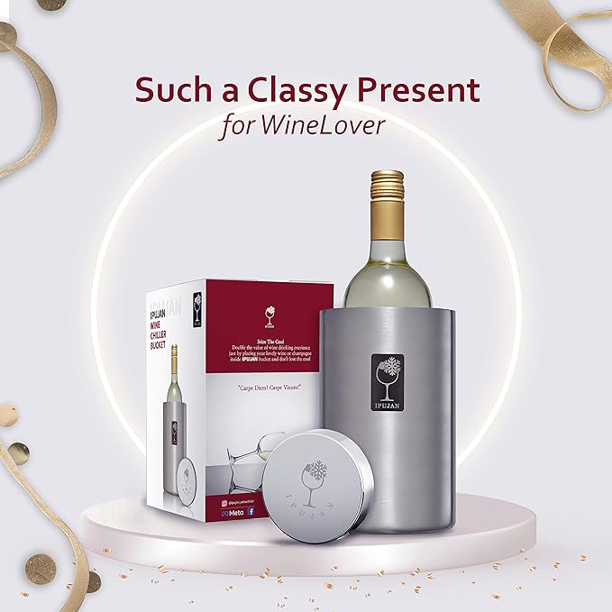 Wine Chiller Bucket with Stainless Ice Stone - Champagne Bucket for 750ml Single Bottle Cold up to 5 Hours - Iceless Insulated Double Walled White Wine Cooler Bucket (Silver)