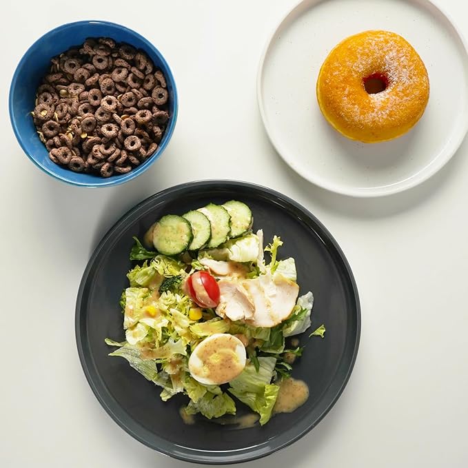 Kitchen Plates and Bowls Set Dinner Set for 4 Handpainted Dinner ware Sets, Microwave Safe Plates and Bowls Sets Stone Plate Scratch Resistant (Galaxy Mist)