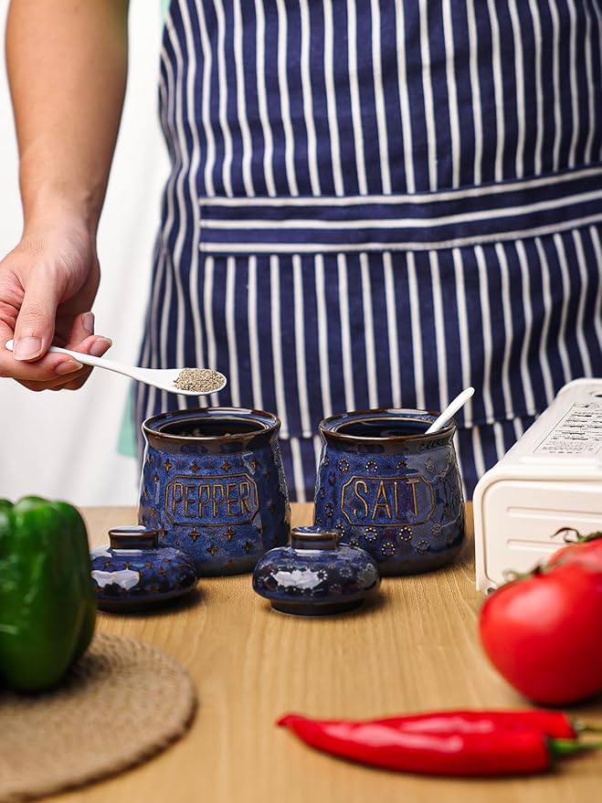 GDCZ 10 Oz Ceramic Salt and Pepper Bowls Set with Lid and Spoons, Seasoning Container, Dishwasher Safe, Set of 2 (Blue)