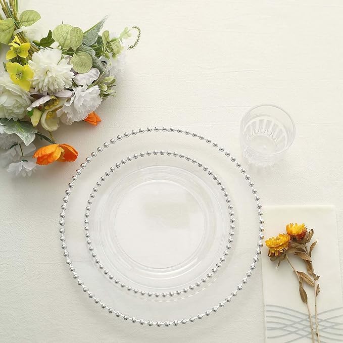 Efavormart 10 Pack | 8" Clear/Silver Beaded Rim Plastic Dinner Plates, Disposable Round Party Plates