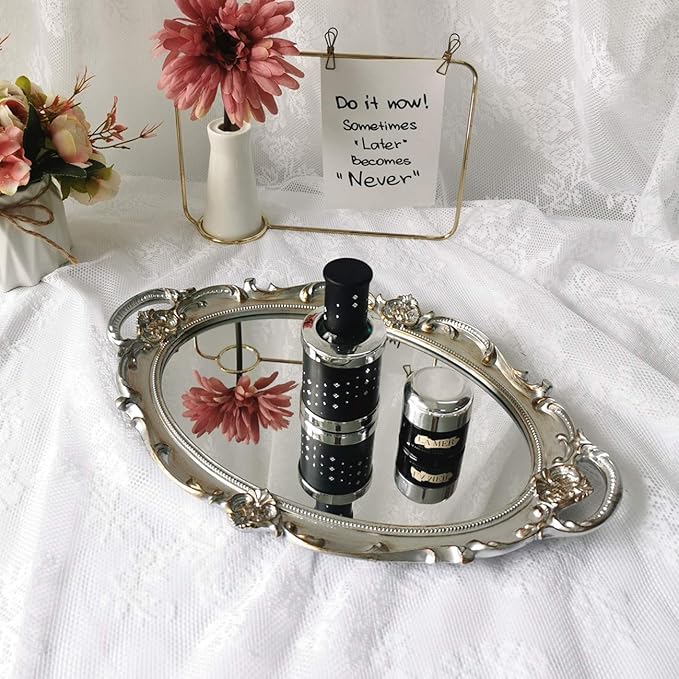 Hamphinee Oval Vintage Wall Mirror Tray, Dresser Organizer Tray, Decorative Perfume Mirror Tray, Serving Tray, 9.8"x 14.6", Silver