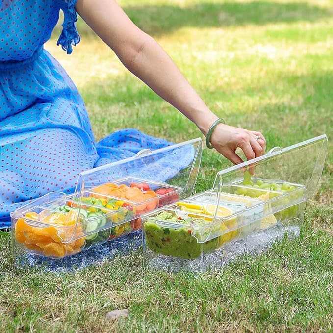 VWMYQ Condiment Server, Tray, ice Party Serving bar, Chilled Caddy, bar Garnish Holder on ice, Dispenser, Salad Platter, Compartment Tray with lid