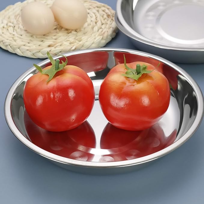 4-Pack Small Stainless Steel Dinner Plate, Round Plates, 7.6 INCH