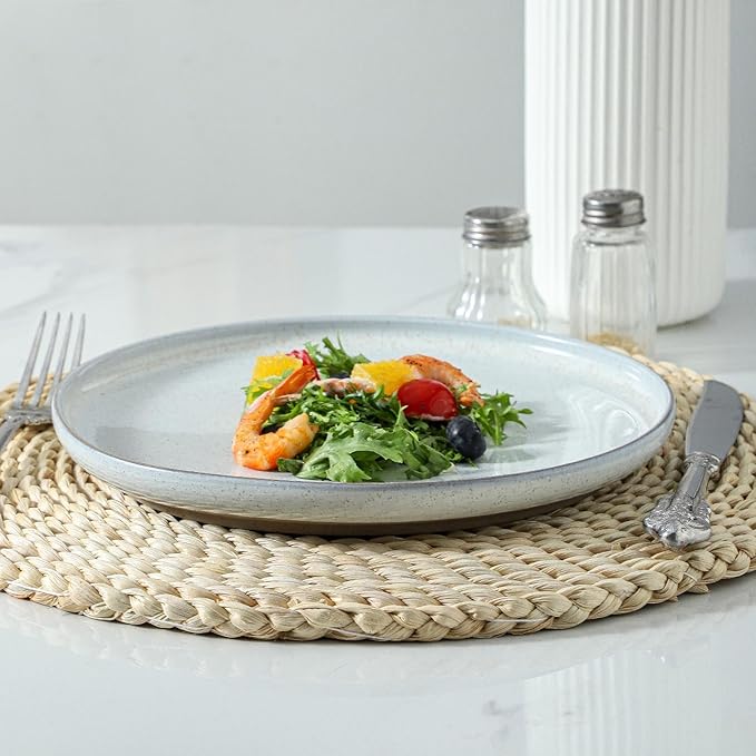 HASENSE Ceramic Dinner Plate Set–10 Inch Premium Proclaim Dishes, 4 Piece Greyish White Plates Set Ideal for Serving Noodles,Pasta or Desserts, Dishwasher Safe and Microwave Safe for Daily Dining