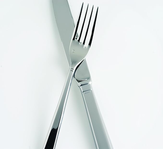 Fortessa Scalini 18/10 Stainless Steel 20-Piece Flatware Set, Service for 4