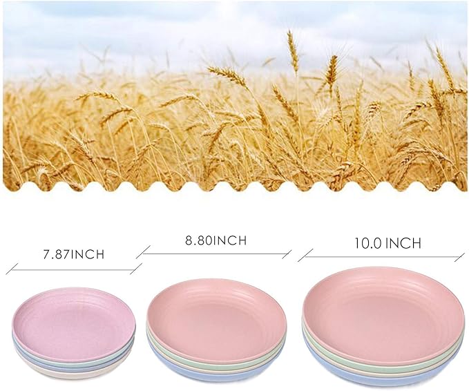 shopwithgreen Wheat Plastic Reusable Dinner Plates, Camping Outdoor Plates Sets, for Kitchen, Dorm Room, Microwave Dishwasher Safe, Unbreakable and Lightweight, 10 Inch, 4 PCS