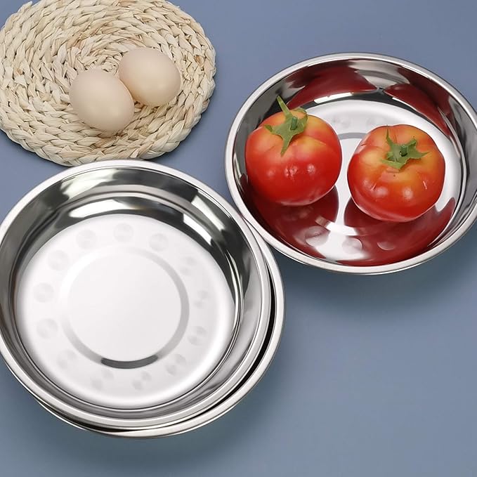 4-Pack Small Stainless Steel Dinner Plate, Round Plates, 7.6 INCH