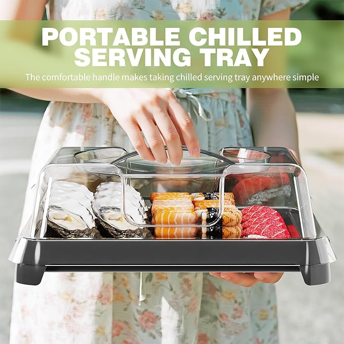 Chilled Portable Serving Tray Platterbox Snack Box with Reusable Ice Pack Charcuterie Board with Lid Shrimp Cocktail Serving Dish Serving Platter for Appetizer Veggie Fruit Food Parties Outdoor Picnic