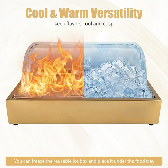 Ice Food Serving Display Tray, 3L 2 Pan Spice Display Salad Dressing Cooler Food Dishes Display Plate Case w/Clear Roll Top Cover for Outdoor Buffets Parties & Restaurant (Gold)