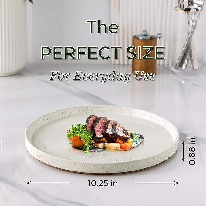 Ceramic Dinner Plates Set of 6, 10.25 Inch Stoneware Plates for Kitchen,Modern Flat Dinnerware Dishes Set,Microwave& Dishwasher Safe, Scratch Resistant-Beige
