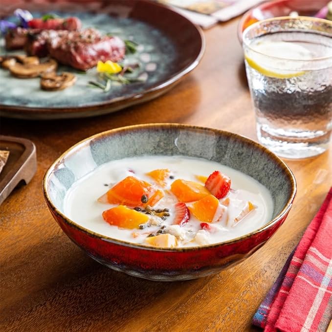 Vintage Ceramic Red Stone Dinnerware Set Dinner Dessert Plate Bowl Set,White-Dinosaur Doodle