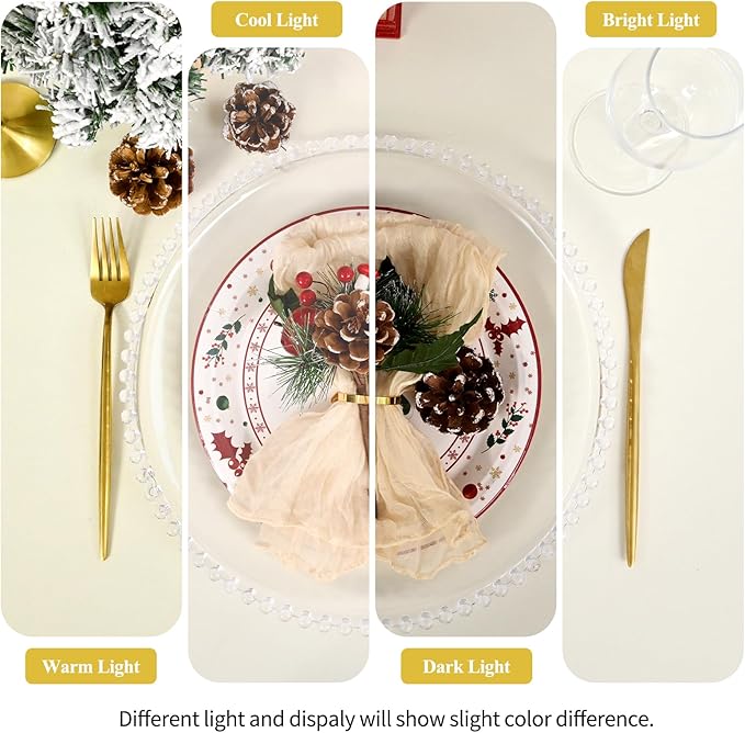 24 Pack Clear Charger Plates 13 Inch Clear Plastic Charger Plates with Beaded Rim Acrylic Round Dinner Plates for Home Kitchen Catering Wedding Table Event Party Dinner Tabletop Decoration (Clear)