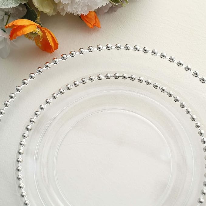 10" Dinner Plates - Set of 10 - Plastic Clear Silver Round Disposable Plate Beaded Rim, Ideal for Decoration Party Wedding Bulk Events