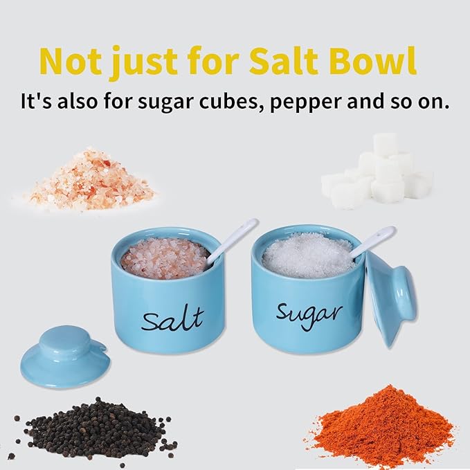 ONTUBE 8oz Sugar and Salt Bowls with Lid and Spoon, Ceramics Condiment Pots,Seasoning Jar Spice Container for Kitchen,Dishwasher Safe (Turquoise)