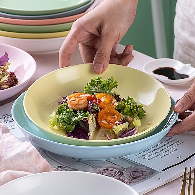 Kitchen Plates Ceramic Plate Salad Sushi Plate Ramen Fruit Steak Plate Suitable for Home Kitchen Restaurant Restaurant Plates(7in-B)