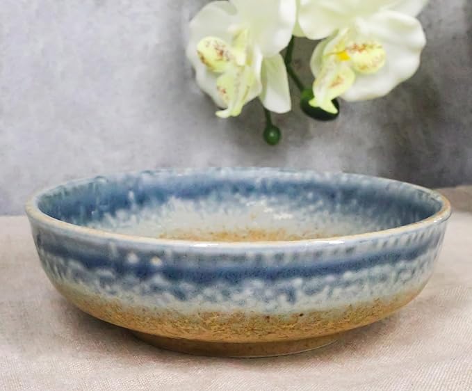 Ebros Gift Artistic Blue River Ao Nagashi Collection Dinnerware Serveware Kitchenware Set Asian Japanese Restaurant Supply (Pack Of 5 Shallow Bowl Deep Plates 10oz)