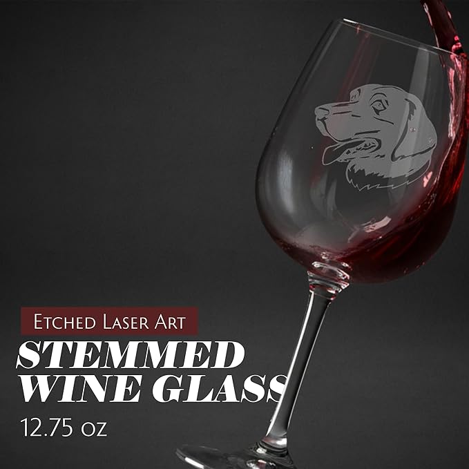 Etched Laser Art Personalized Dog Themed Etched Wine Glass - Custom Dog Breed Wine Glasses, Ideal for Pet Lovers, Unique Birthday Gift for Men & Women, Personalized Gift - Stabyhoun (Stabij), 12.75 oz