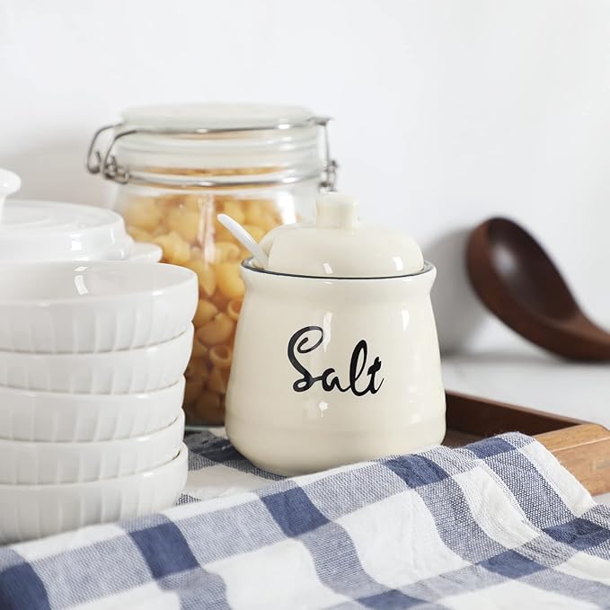 HAOTOP Farmhouse Porcelain Salt Bowl with Lid and Spoon 12oz,Easy to Clean (Beige)