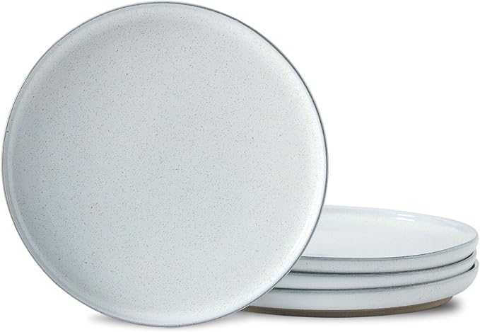 HASENSE Ceramic Dinner Plate Set–10 Inch Premium Proclaim Dishes, 4 Piece Greyish White Plates Set Ideal for Serving Noodles,Pasta or Desserts, Dishwasher Safe and Microwave Safe for Daily Dining