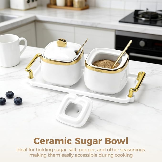 2 Pcs Ceramic Sugar Bowl Set with Tray, 12 oz Spice Container, Salt Bowl with Lid and Spoon, Modern Seasoning Storage Jar for Home and Kitchen, Coffee Bar