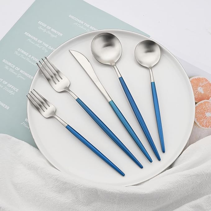 18/10 Stainless Steel Matte Flatware Set (1, Blue Silver)