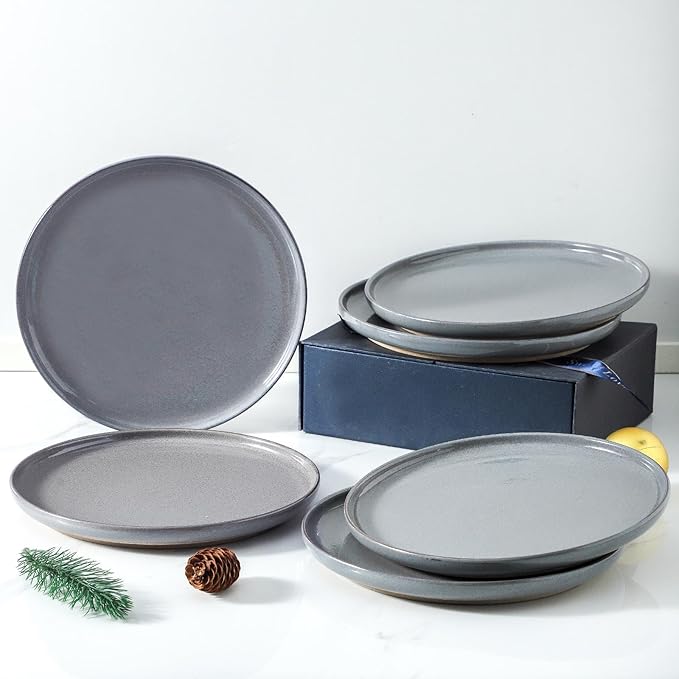 HASENSE Ceramic Dinner Plates Set – 10 Inch Premium Proclaim Dishes, 4 Piece Gray Plates Set Ideal for Serving Steak, Noodles or Pasta, Dishwasher Safe and Microwave Safe for Daily Dining