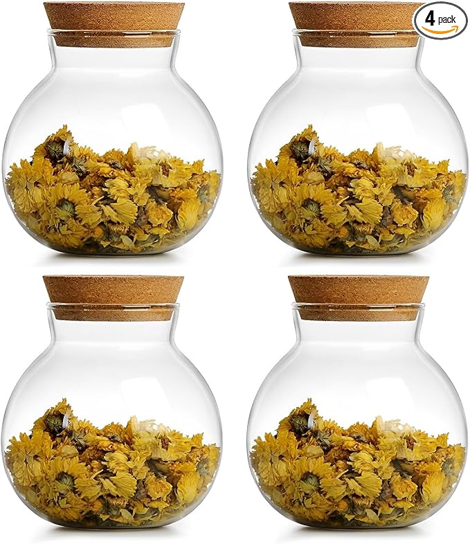 17oz Spherical Glass Jar with Cork Lid Airtight - Kitchen Glass Jar for Preserving and Storing candy, tea, Coffee, Spice, flour, Beans etc (4)