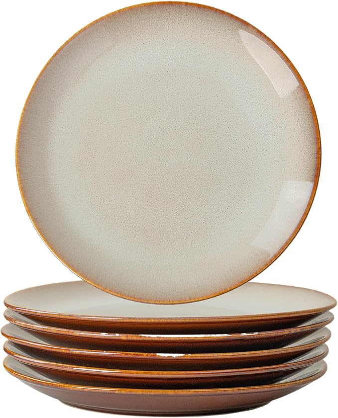 Dinner Plates Set of 6, 10 Inch Ceramic Plates – Porcelain Dinner Plates for Kitchen, Serving & Everyday Use, Microwave & Dishwasher Safe