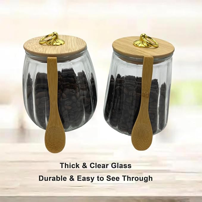 Glass Airtight Storage Jars with Spoons,Bamboo Lid Canister for Foods,Decorative Container with Metal Handle Easy to Grasp 2Pack Oval