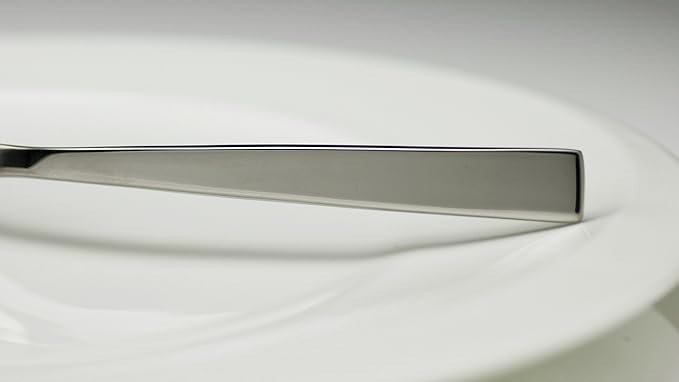Fortessa Spada 18/10 Stainless Steel Flatware Serving Spoon, 9.25-Inch