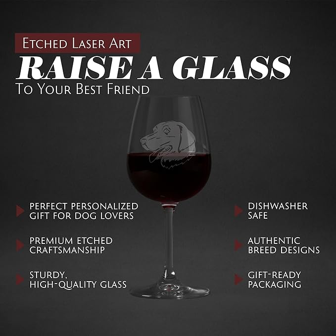Etched Laser Art Personalized Dog Themed Etched Wine Glass - Custom Dog Breed Wine Glasses, Ideal for Pet Lovers, Unique Birthday Gift for Men & Women, Personalized Gift - Stabyhoun (Stabij), 12.75 oz