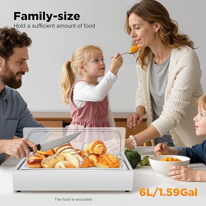 Single Compartment Ice Food Display Tray, 1.59Gal Stainless Steel Buffet Cooler Platter with Clear Lid & Reusable Gel Ice Box, for Outdoor Party Restaurant - Silver (Silver-1)