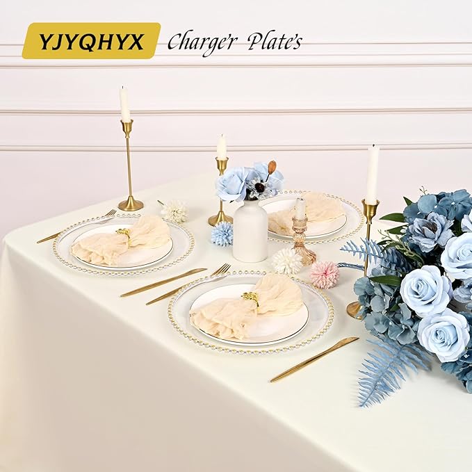 24 Pack Clear Charger Plates 13 Inch Clear Plastic Charger Plates with Beaded Rim Acrylic Round Dinner Plates for Home Kitchen Catering Wedding Table Event Party Dinner Tabletop Decoration (Gold)