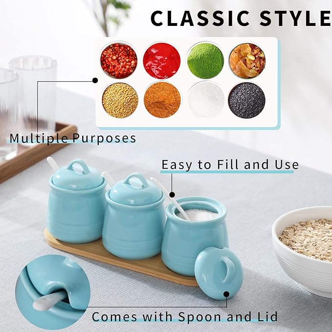 HAOTOP Porcelain Condiment Jar 3 Pack Set with Tray, 12 Ounces Turquoise