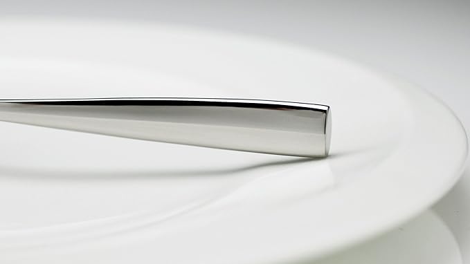 Fortessa Lucca 18/10 Stainless Steel Flatware Solid Handle Table Knife, Set of 12, Silver
