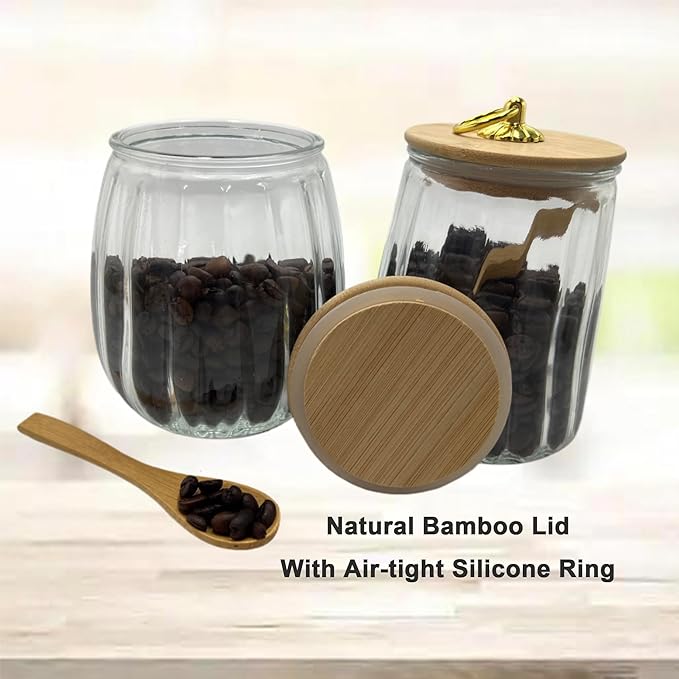 Glass Airtight Storage Jars with Spoons,Bamboo Lid Canister for Foods,Decorative Container with Metal Handle Easy to Grasp 2Pack Oval