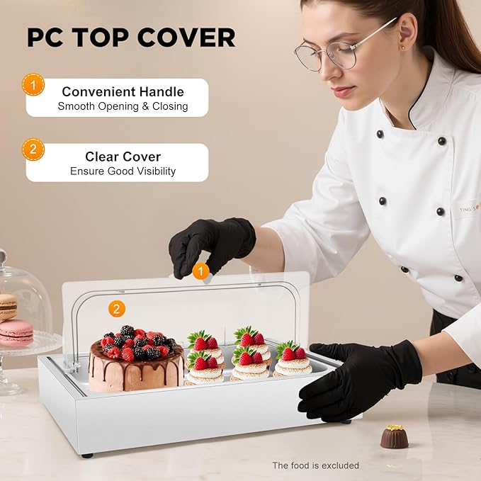 Ice Food Serving Display Tray, 6L Spice Display Salad Dressing Cooler Food Dishes Display Plate Case w/Clear Roll Top Cover for Outdoor Buffets Parties & Restaurant (Silver)