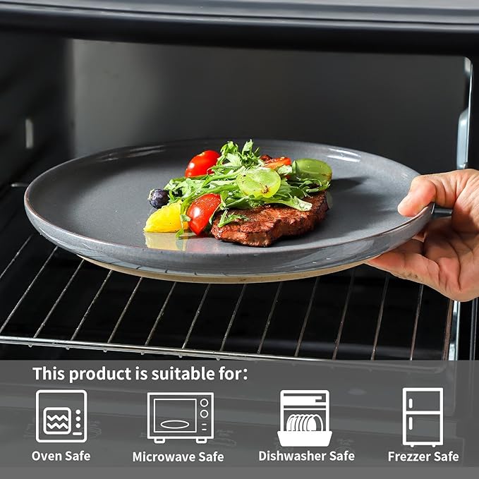 HASENSE Ceramic Dinner Plates Set – 10 Inch Premium Proclaim Dishes, 4 Piece Gray Plates Set Ideal for Serving Steak, Noodles or Pasta, Dishwasher Safe and Microwave Safe for Daily Dining