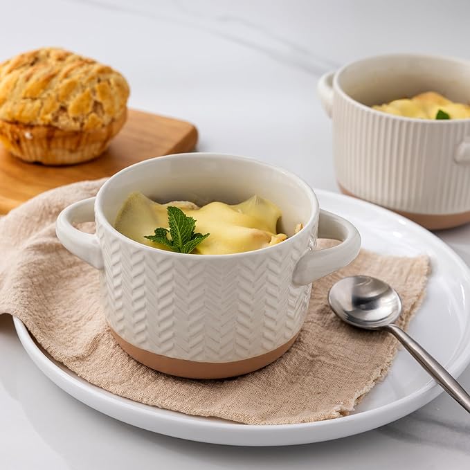AmorArc 24 Ounces Soup Bowls with Large Handles and Lids, Stoneware Bowls Set of 2 for Soup,Stew, Noodle, Ceramic Kitchen Bowls With Embossed Patterns, Microwave&Dishwasher Safe, Light Beige