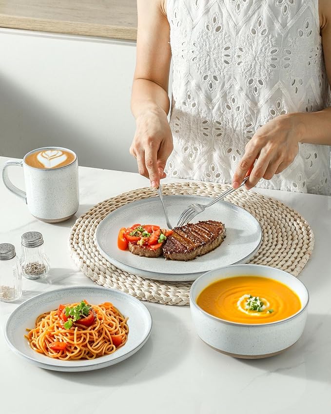 HASENSE Ceramic Dinner Plate Set–10 Inch Premium Proclaim Dishes, 4 Piece Greyish White Plates Set Ideal for Serving Noodles,Pasta or Desserts, Dishwasher Safe and Microwave Safe for Daily Dining